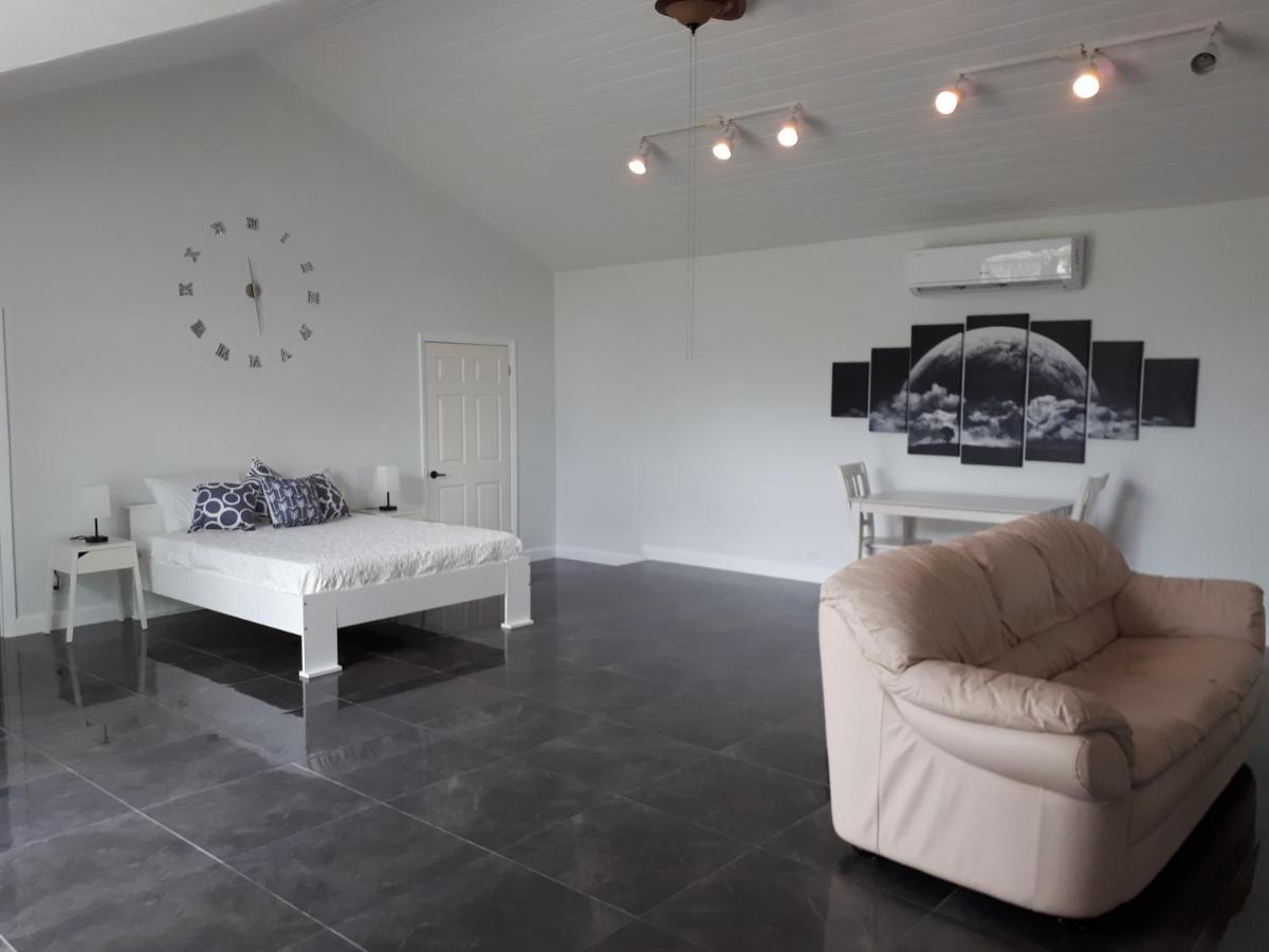 Secluded And Modern Beachfront House