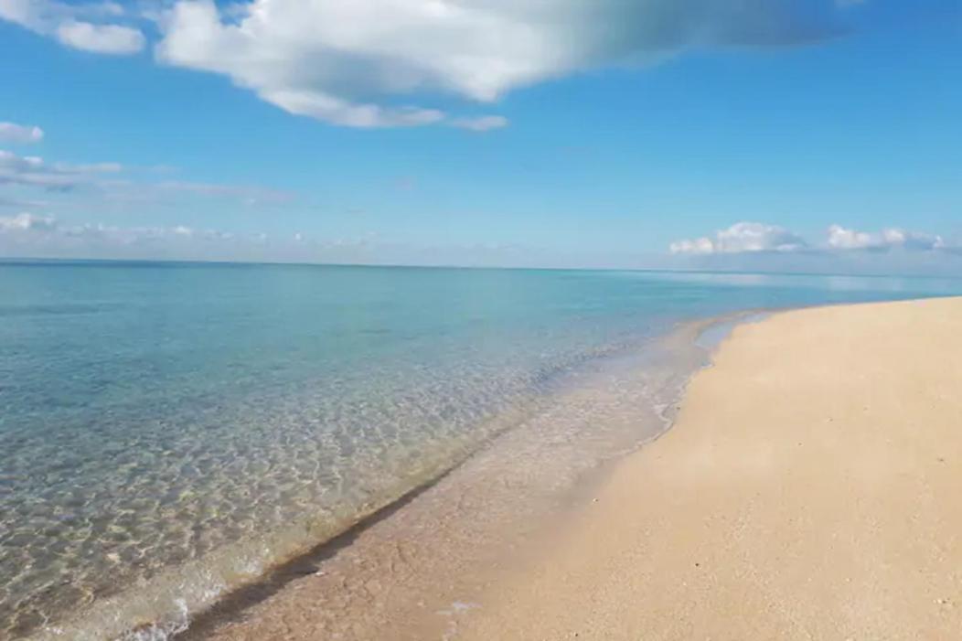 Guest house Secluded And Modern Beachfront House *